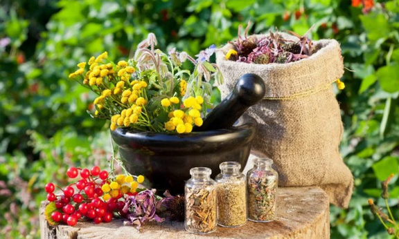 Herbs from Helmines