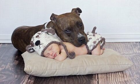 A child with a dog